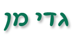 גדי מן - שמאות מקרקעין