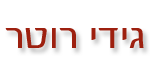 גידי רוטר - מיחזור משכנתאות