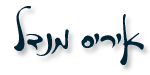 איריס מנדל - ביטוח רפואי